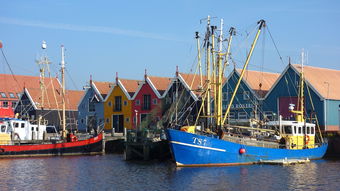 星空体育app下载-亚布力滑雪旅游度假区2025-2026雪季旅游产品暨招商信息交流会举办，亚布力滑雪场宣传片